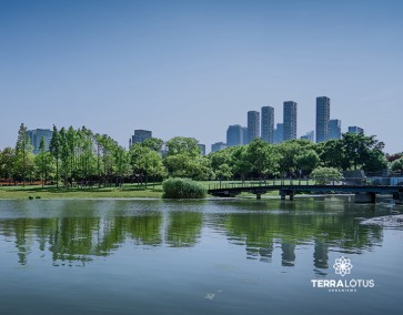 Urbanismo e comunidades conectadas: exemplos reais de transformação.