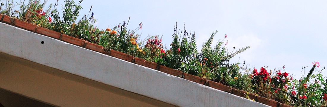 Telhado verde: um benefício para a sua construção e para o planeta.